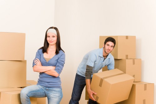 Assorted removal boxes and protective packing materials