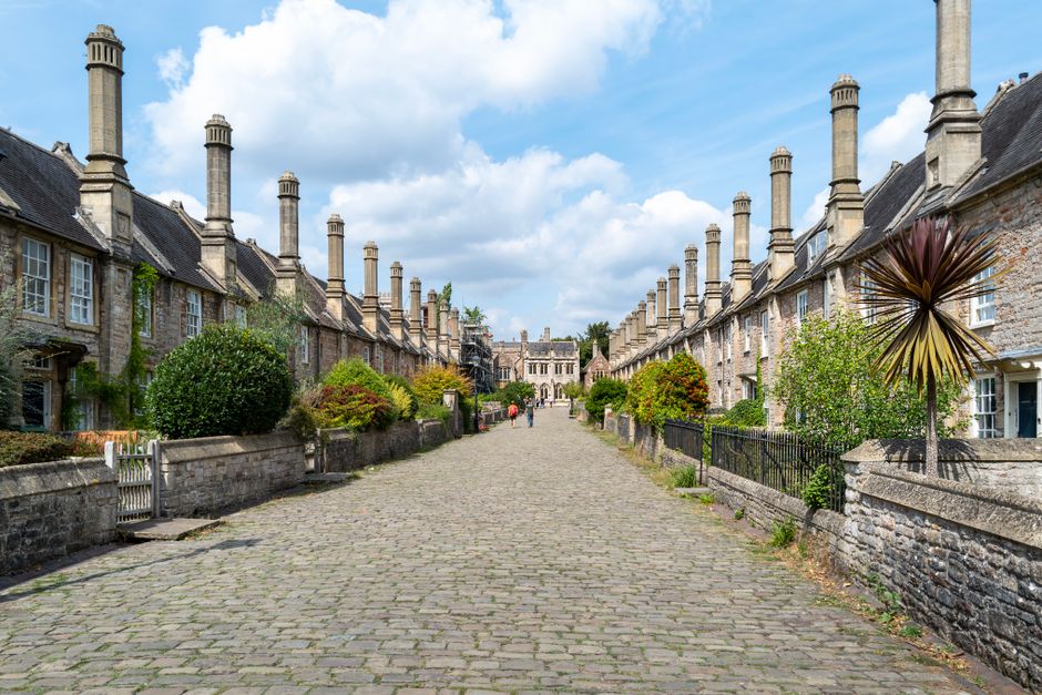 A narrow residential street lined with tall, leafless trees and brick terraced houses with small front gardens. The road is slightly curved and appears to be part of a quiet neighbourhood. The pavement runs along the left side of the street, while the right side features a low brick wall and a black wheelie bin near the curb. The scene is captured during overcast weather with diffuse lighting, suggesting late autumn or winter. This setting is typical of a home relocation or house removals process in Bickley, where furniture and boxes could be loaded onto a van for transport. Although no moving activity or personnel are visible, the environment reflects the typical environment where professional removals, such as those by Man and Van Bickley, operate, offering tailored solutions for house and garden moves in this area.